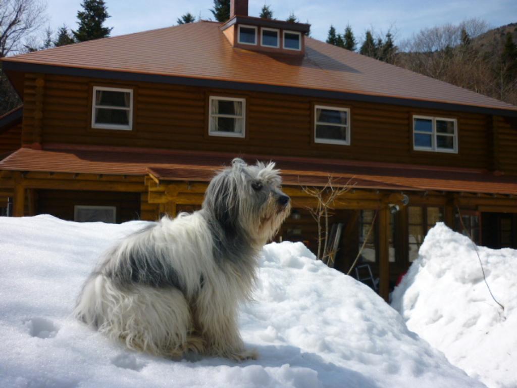 Pension Pechika Katashina Экстерьер фото